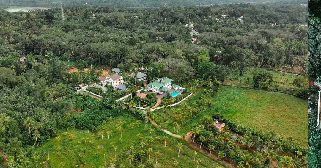 Kayaking adventure in backwaters
